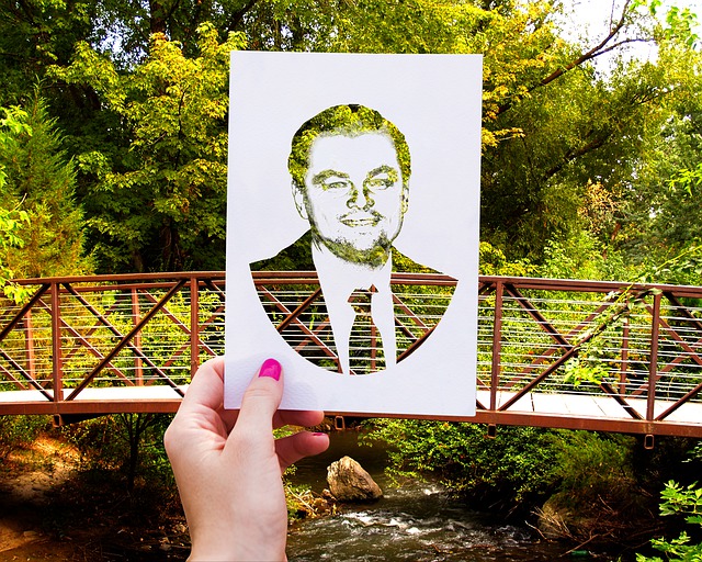 obrázek leonardo dicaprio